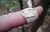 Pleisters/band-aids in het bos maken