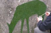 Hoe maken Moss Graffiti