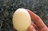 Hoe om te blazen uit een ei