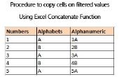 Procedure om cellen te kopiëren op waarden met behulp van de Excel-functie Concatenate gefilterd