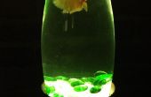 Eenvoudige LED verlicht Fish Bowl