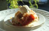 Tarte Tatin - een heerlijke 19e eeuws speculoos appeltaart uit de Loire-vallei, die van een culinaire ramp geboren