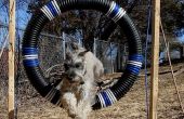 Hond agility band sprong van pallet