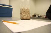 Deel B: Maken een paddestoel-logboek, overdracht van Mycelium op graan