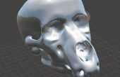 Hoe model een antropomorfe schedel in Meshmixer