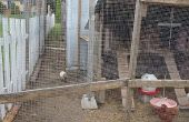 Volière - How to build Chicken run en Aviary