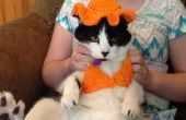 EasyCrocheted kat bikini en zon hoed
