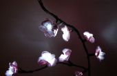Hoe maken Cherry Blossom licht