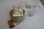 Eenvoudige waterstand detector met behulp van een LM555 in de astable modus: