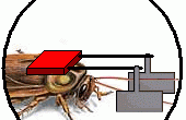 Kakkerlak Control System (via psychologische manipulatie)