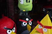 Angry Birds kostuum