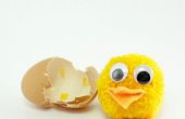 Hoe maak je een Pom Pom Chick voor Pasen