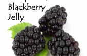 Uitzonderlijke Blackberry Jelly