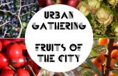 Stedelijke gathering - vruchten van de stad