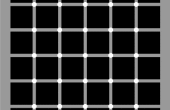 Optische illusie - mysterieuze zwarte stippen