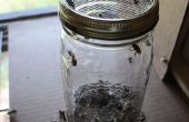 Suiker gestreken bijen - of - hoe om te testen voor Varroa mijten