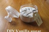 DIY vanille suiker