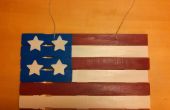 Maken van een Amerikaanse vlag uit verf stokken