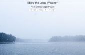 Open weer API - Toon van het lokale weer-Project
