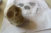 Gemakkelijk Clay Modeling - verborgen schat piraat schedel