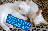 Straat Kitty Rescue Kit