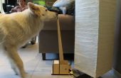 DIY lamp schakelaar voor honden