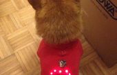 Een verlicht huisdier hoodie