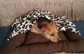 Hond Bed met verwisselbare deken