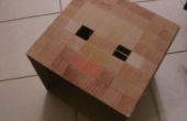 Minecraft Steve hoofd karton