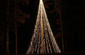 ENORME licht Christmas Tree