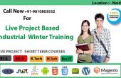 IT Winter Training Institute In Noida Delhi/NCR
