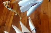 Hoe maak je papier claws