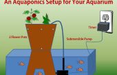 Een Aquaponics Setup voor uw Aquarium