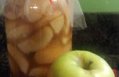 Apple Pie vulling (conservenindustrie recept)