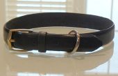 Upcycle A lederen riem in A Dog Collar In 5 minuten of minder