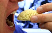 Eetbare chocolade hersenen van MRI-Scan