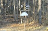Vogels voederen Station met eekhoorn Baffle