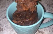 5 minuten chocolade Lava Cake