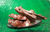 Brosse Chocolade-hazelnoot