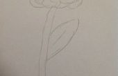Mooie bloem tekening (beginners)