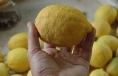Eenvoudige smakelijke Lemon Curd