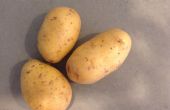 Hoe Maak aardappelpuree