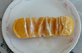 Hoe schil gemakkelijk enige Citrus HOUWER