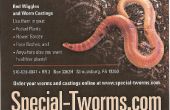 Special-tworms.com rode wormen / wormen composteren met wormen vissen