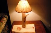 Hoe maak een aangepaste pine log lamp op de goedkope! 