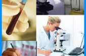 Medisch laborant rol in een laboratorium-omgeving