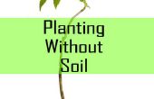 Planten zonder bodem