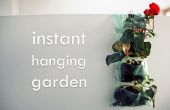 Instant Hanging Garden