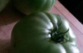 Groene tomatensaus
