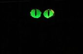 Gloeiende ogen van de kat